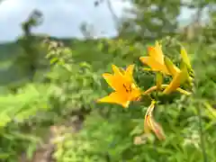 高峯神社(大室神社奥宮)の自然