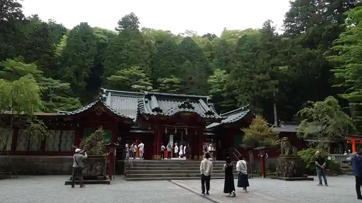 箱根神社(神奈川県)