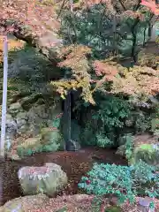 慈照寺（慈照禅寺・銀閣寺）の景色