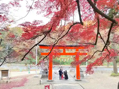 賀茂神社の鳥居