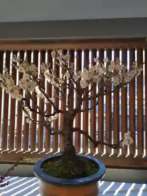 湯島天満宮(東京都)