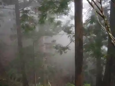 玉置神社の{uncategorized: "未分類", other: "その他", undefined: "問題あり", building: "その他建物", grave: "お墓", sacred_gate: "鳥居", guardian: "狛犬", statue: "像", buddha: "仏像", history: "歴史", nature: "自然", garden: "庭園", animal: "動物", pagoda: "塔", temizu: "手水舎", mountain_gate: "山門・神門", sanctuary: "本殿・本堂", subordinate: "末社・摂社", art: "芸術", scenery: "景色", jizo: "地蔵", ema: "絵馬", goshuin: "御朱印", omikuji: "おみくじ", items: "授与品その他", amulet: "お守り", goshuincho: "御朱印帳", eats: "食事", festival: "お祭り", votive_dance: "神楽", shichigosan: "七五三参", wedding: "結婚式", experience: "体験その他", initially: "初詣", around: "周辺", anti_infection: "感染症対策"}