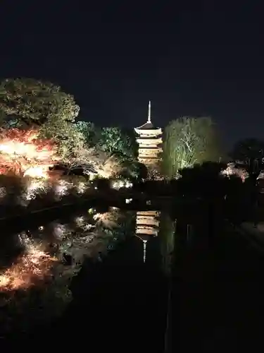 東寺（教王護国寺）(京都府)