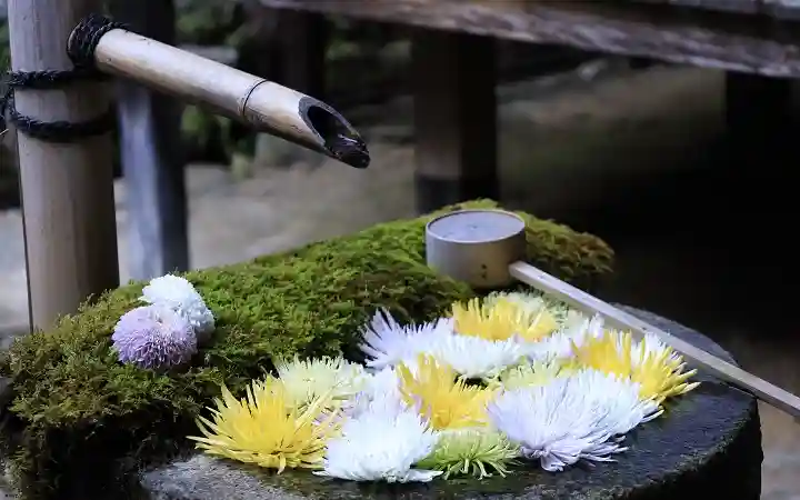 柳谷観音 楊谷寺(京都府)