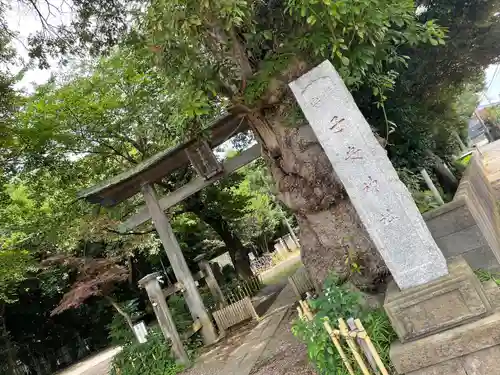 畑子安神社(千葉県)