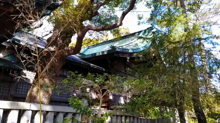 霞浦神社の本殿・本堂