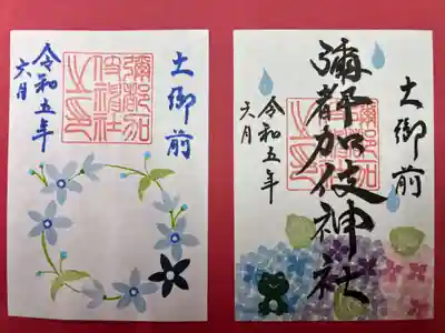 紫陽花　ブルースター