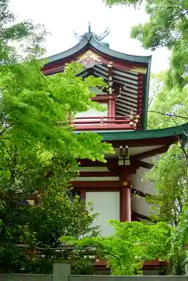 多摩川浅間神社の本殿・本堂