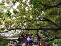 東京大神宮の{uncategorized: "未分類", other: "その他", undefined: "問題あり", building: "その他建物", grave: "お墓", sacred_gate: "鳥居", guardian: "狛犬", statue: "像", buddha: "仏像", history: "歴史", nature: "自然", garden: "庭園", animal: "動物", pagoda: "塔", temizu: "手水舎", mountain_gate: "山門・神門", sanctuary: "本殿・本堂", subordinate: "末社・摂社", art: "芸術", scenery: "景色", jizo: "地蔵", ema: "絵馬", goshuin: "御朱印", omikuji: "おみくじ", items: "授与品その他", amulet: "お守り", goshuincho: "御朱印帳", eats: "食事", festival: "お祭り", votive_dance: "神楽", shichigosan: "七五三参", wedding: "結婚式", experience: "体験その他", initially: "初詣", around: "周辺", anti_infection: "感染症対策"}