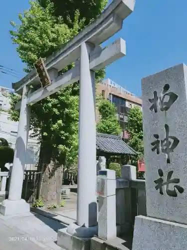 柏神社の鳥居