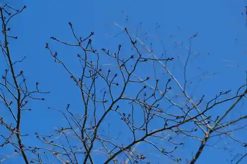 金峯山寺の自然