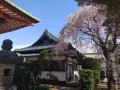 吉祥寺(東京都)