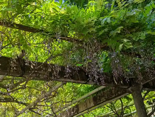立木神社(滋賀県)