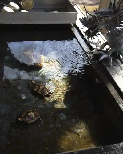 南湖神社(福島県)