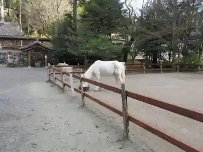 丹生川上神社（下社）(奈良県)