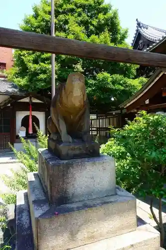 摩利支天堂 禅居庵の狛犬