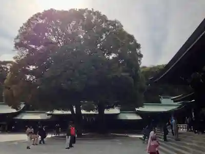 明治神宮のその他建物