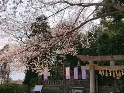 前玉神社のその他建物