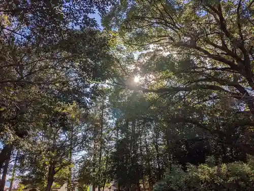 伊多波刀神社の自然