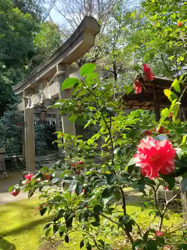 赤坂氷川神社の鳥居