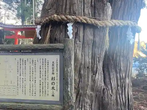 七崎神社(青森県)