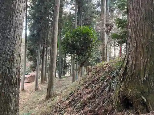 大宮温泉神社(栃木県)
