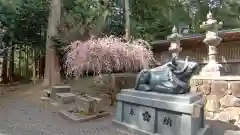 瀧樹神社の狛犬