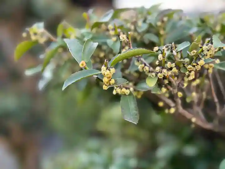 西方山極楽寺(岐阜県)