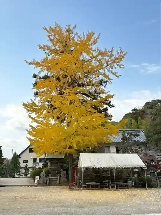 金泉寺(徳島県)