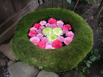菅生神社(愛知県)