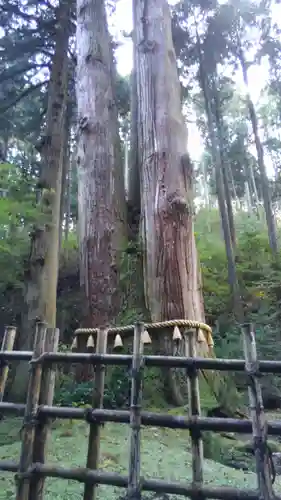 御岩神社(茨城県)
