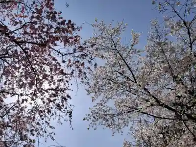 長谷寺の{uncategorized: "未分類", other: "その他", undefined: "問題あり", building: "その他建物", grave: "お墓", sacred_gate: "鳥居", guardian: "狛犬", statue: "像", buddha: "仏像", history: "歴史", nature: "自然", garden: "庭園", animal: "動物", pagoda: "塔", temizu: "手水舎", mountain_gate: "山門・神門", sanctuary: "本殿・本堂", subordinate: "末社・摂社", art: "芸術", scenery: "景色", jizo: "地蔵", ema: "絵馬", goshuin: "御朱印", omikuji: "おみくじ", items: "授与品その他", amulet: "お守り", goshuincho: "御朱印帳", eats: "食事", festival: "お祭り", votive_dance: "神楽", shichigosan: "七五三参", wedding: "結婚式", experience: "体験その他", initially: "初詣", around: "周辺", anti_infection: "感染症対策"}