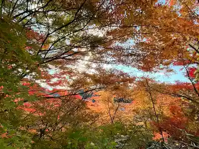 弘川寺(大阪府)