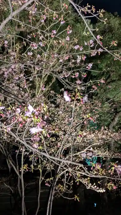 東寺(教王護国寺)(京都府)