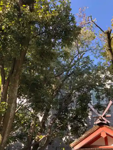 率川神社（大神神社摂社）(奈良県)