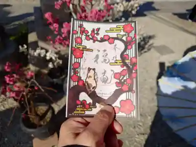 水堂須佐男神社(兵庫県)