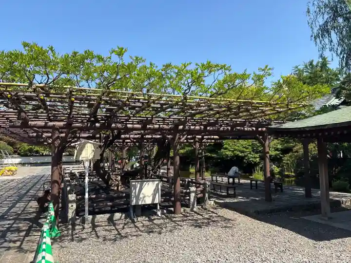 西新井大師総持寺(東京都)