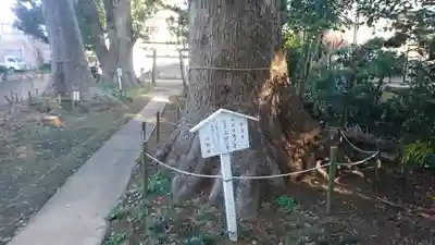 神明宮（御園）の自然