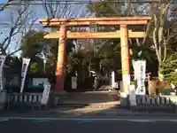 世田谷八幡宮の鳥居
