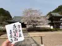 常栄寺の御朱印