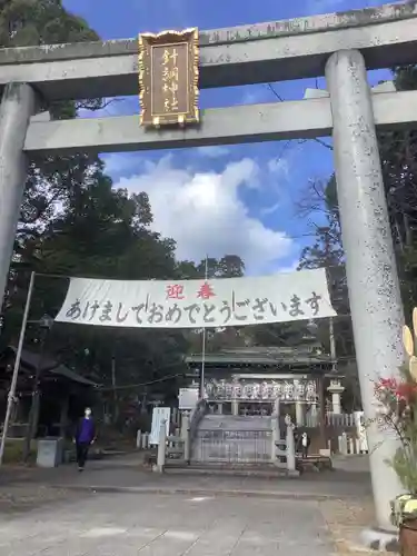 針綱神社の鳥居