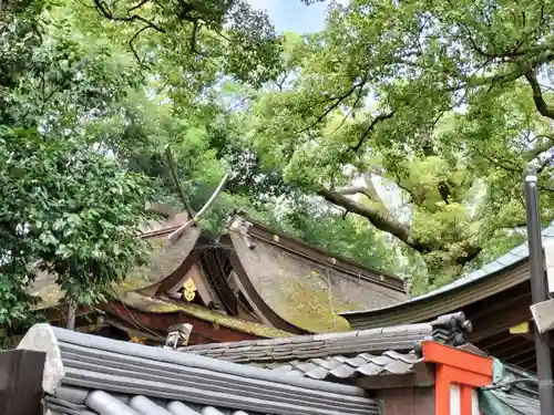 杭全神社の本殿・本堂