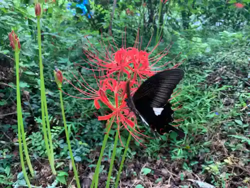 普門寺(切り絵御朱印発祥の寺)(愛知県)