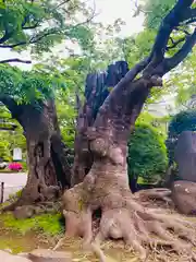 深志神社(長野県)