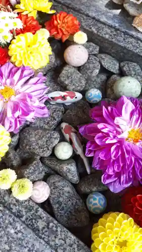 滑川神社 - 仕事と子どもの守り神の手水舎