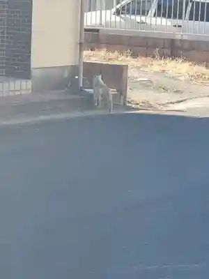 大日薬師堂(栃木県)