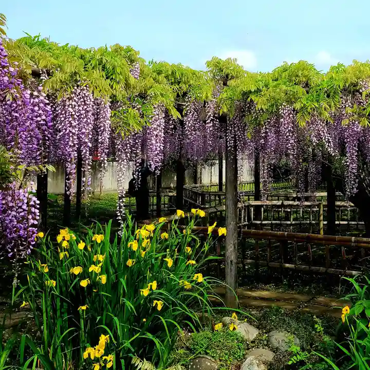 行興寺(静岡県)