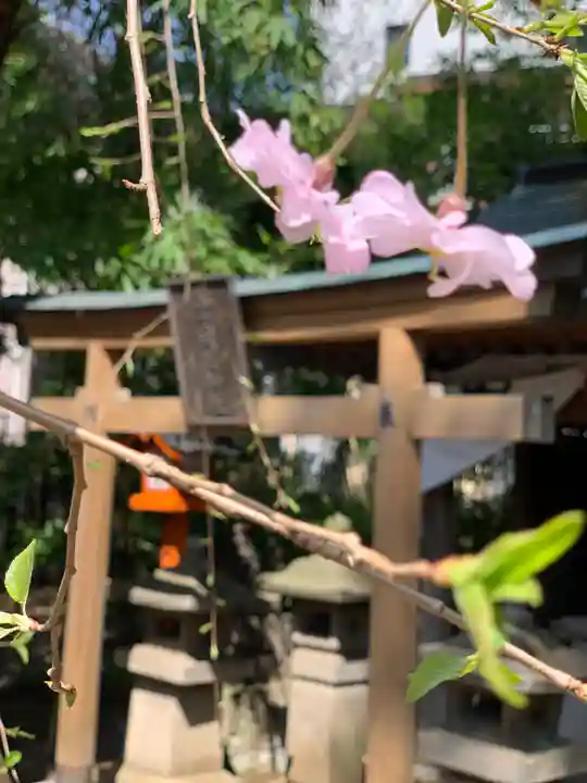 上目黒氷川神社の鳥居