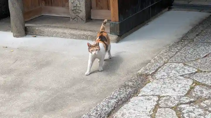 行願寺(革堂)(京都府)