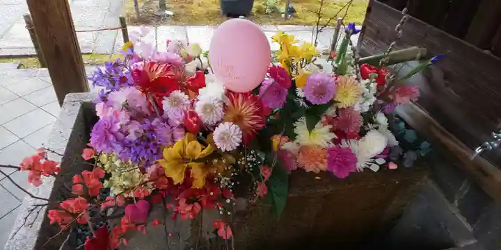 勝林寺(京都府)